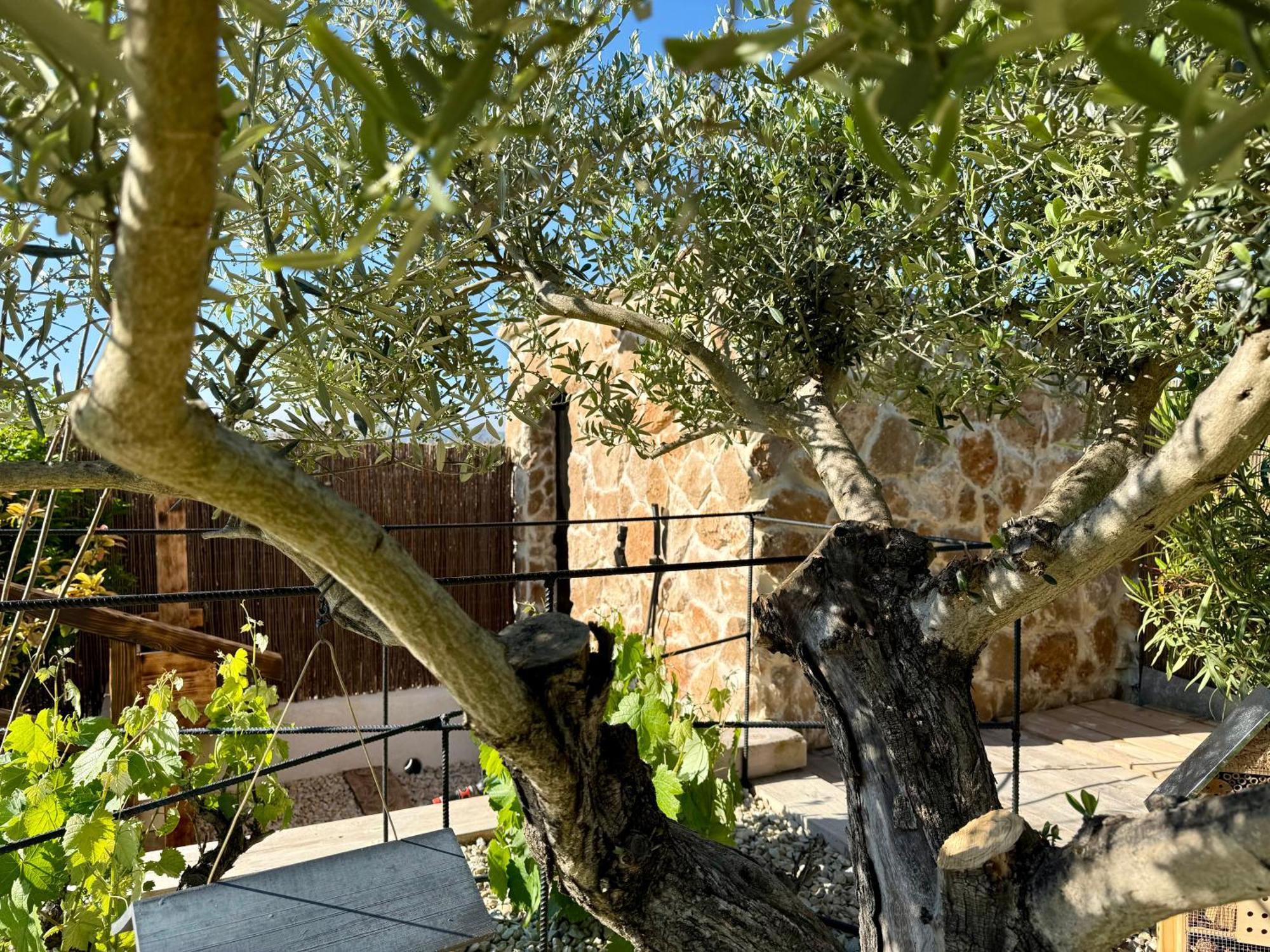 Une Nuit En Luberon Puyvert Екстер'єр фото
